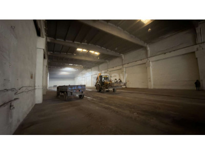 WhatsApp Image 2026-03-30 at 20.43.24 (3).jpeg